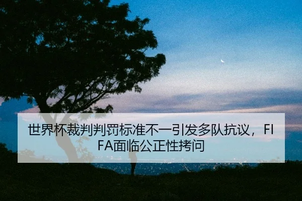 shi-jie-bei-cai-pan-pan-fa-biao-zhun-bu-yi-yin-fa-duo-dui-kang-yi-mian-lin-gong-zheng-xing-kao-wen-2-379.jpg