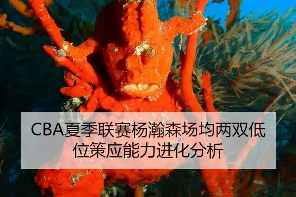 xia-ji-lian-sai-yang-han-sen-chang-jun-liang-shuang-di-wei-ce-ying-neng-li-jin-hua-fen-xi-2-268.jpg