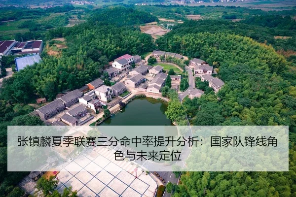 张镇麟夏季联赛三分命中率提升分析：国家队锋线角色与未来定位